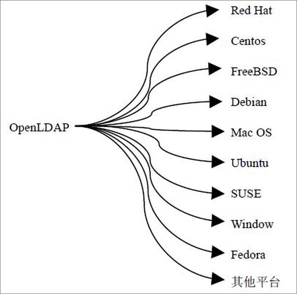 书籍《Linux_UNIXOpenLDAP实战指南》 - 插图1