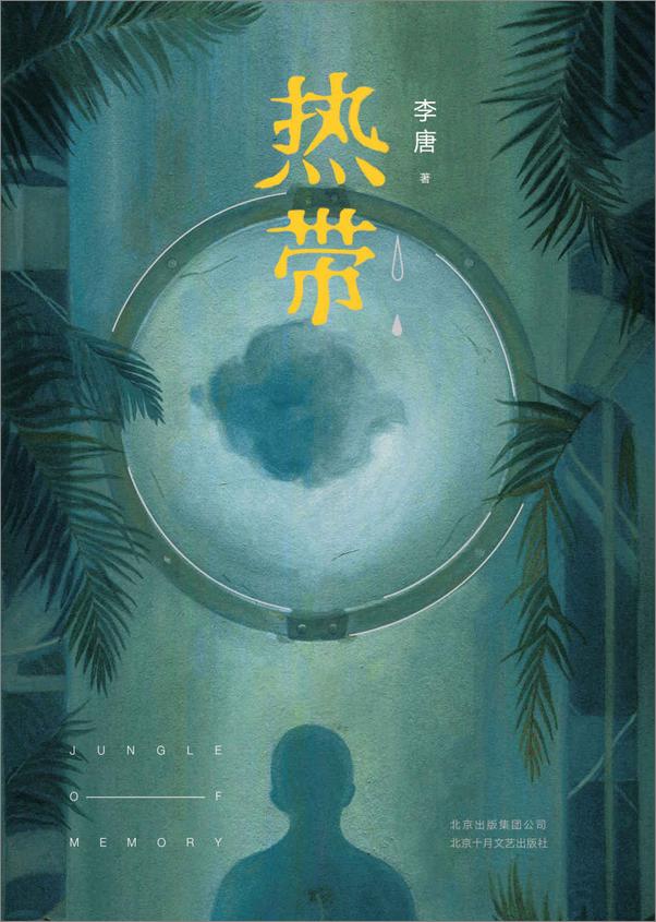 书籍《热带》 - 插图1