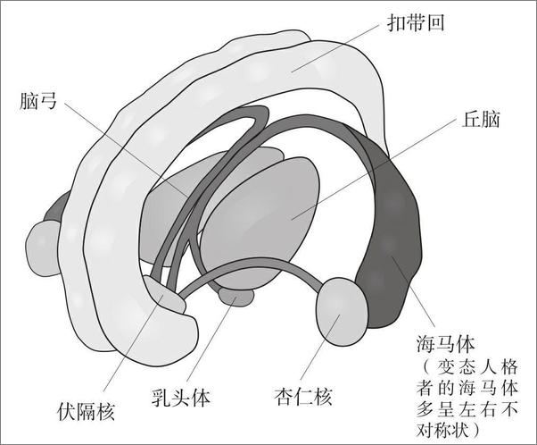 书籍《天生疯狂》 - 插图1