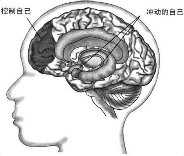 书籍《自控力 - 凯利•麦格尼格尔》 - 插图2