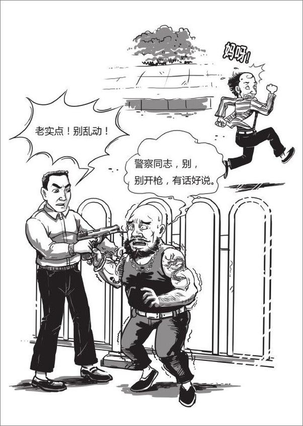 书籍《警察手记：京师四小名捕破案传奇》 - 插图2