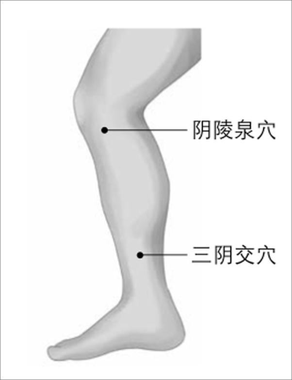 书籍《向脾胃要健康》 - 插图2