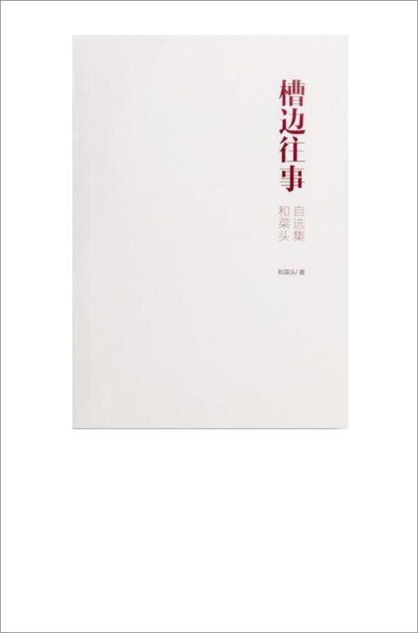 书籍《槽边往事：和菜头自选集》 - 插图2