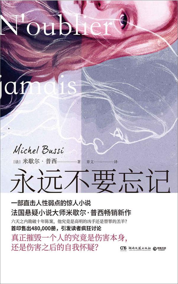 书籍《米歇尔·普西犯罪悬疑小说集（全4册）》 - 插图2