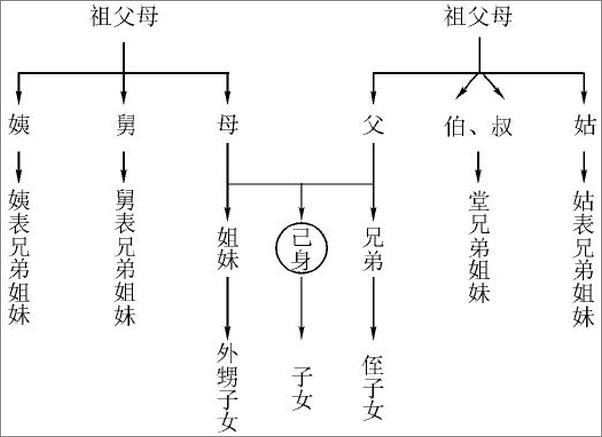 书籍《婚姻家庭法》 - 插图1