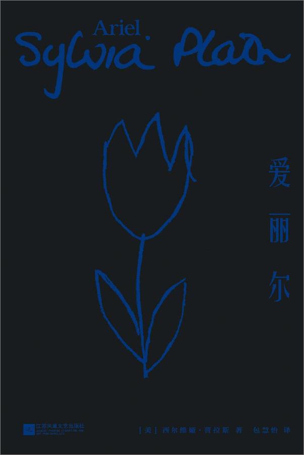 书籍《爱丽尔》 - 插图1