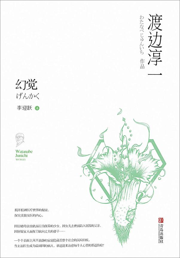 书籍《幻觉（护理师迷恋女院长，揭秘不为人知的医患黑幕。）》 - 插图1