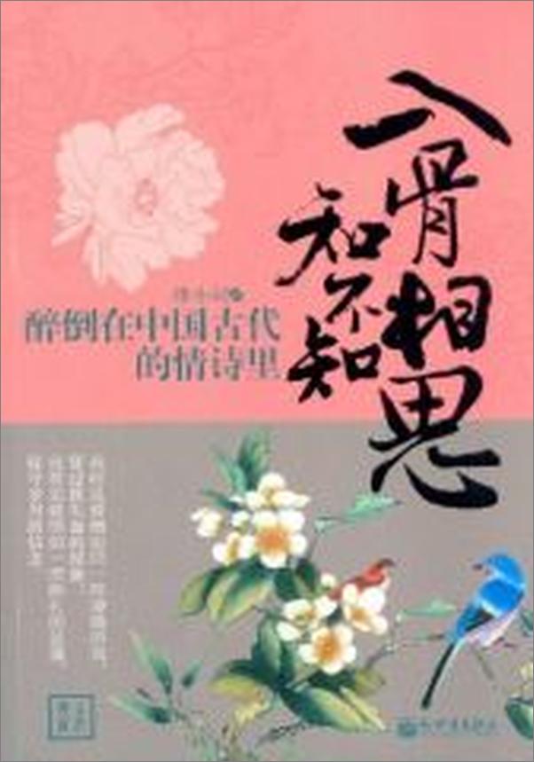 书籍《入骨相思知不知：醉倒在中国古代的情诗里》 - 插图1