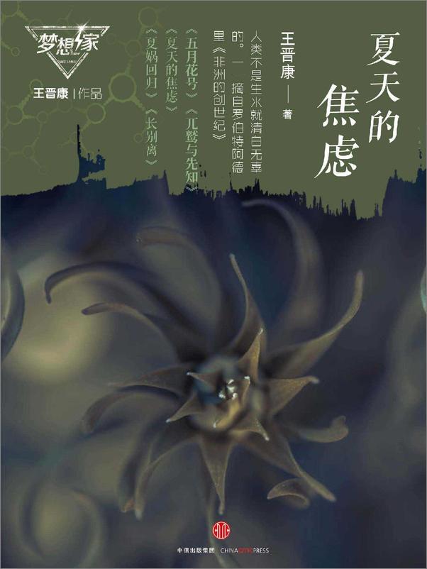 书籍《夏天的焦虑》 - 插图1