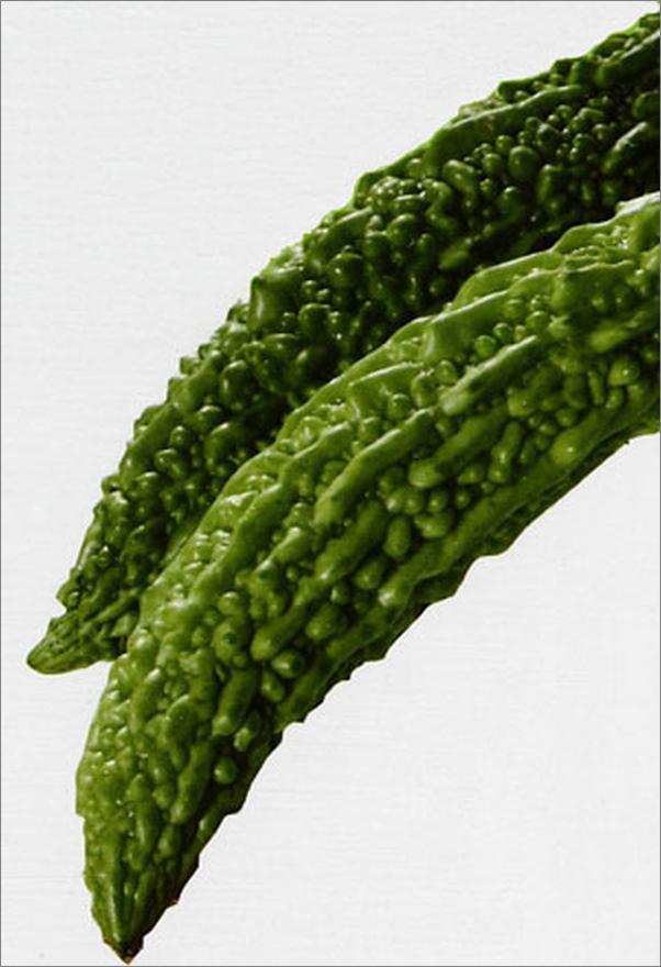 书籍《专家指导糖尿病特效食谱》 - 插图2