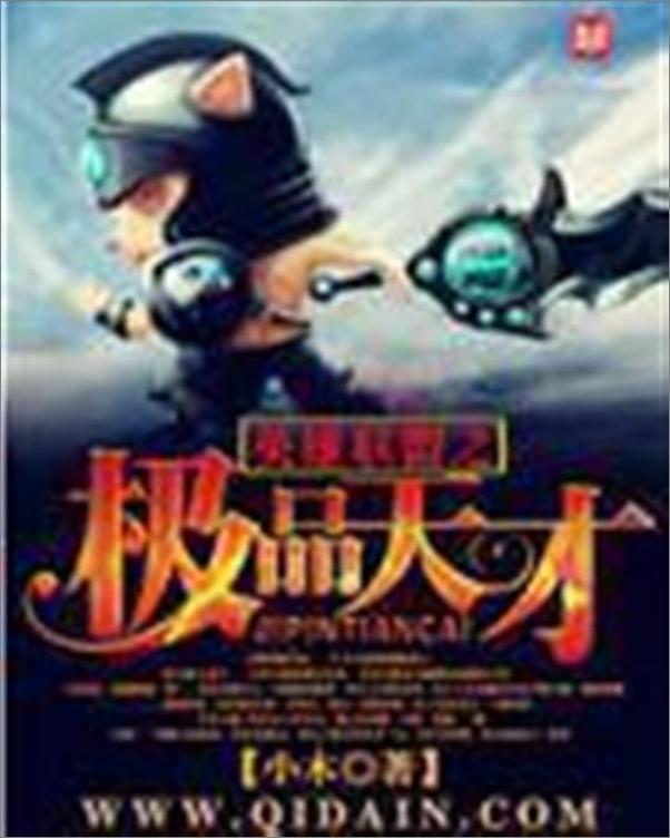 书籍《英雄联盟之极品天才-小木不是小暮》 - 插图1