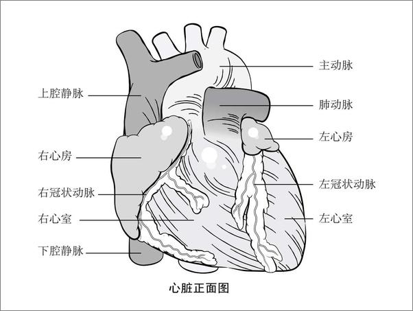 书籍《打开一颗心》 - 插图1