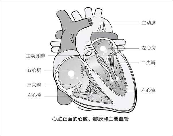 书籍《打开一颗心》 - 插图2