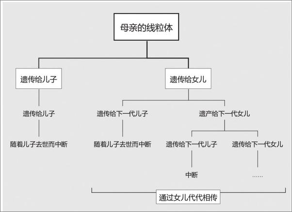 书籍《五万年中国简史》 - 插图2