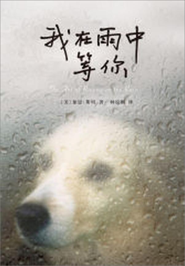 书籍《我在雨中等你》 - 插图2