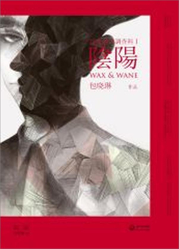 书籍《阴阳》 - 插图1