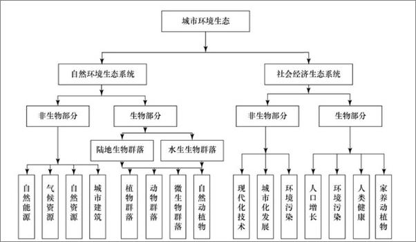 书籍《最受欢迎的北大通选课：城市生态系统》 - 插图1