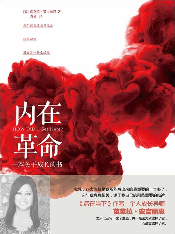 书籍《内在革命：一本关于成长的书》 - 插图1