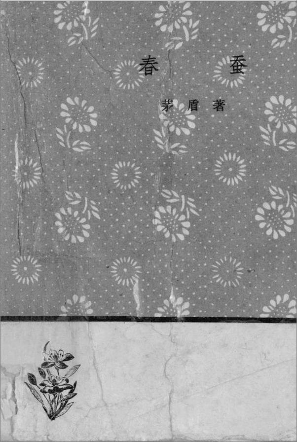 书籍《写实主义小说的虚构》 - 插图1