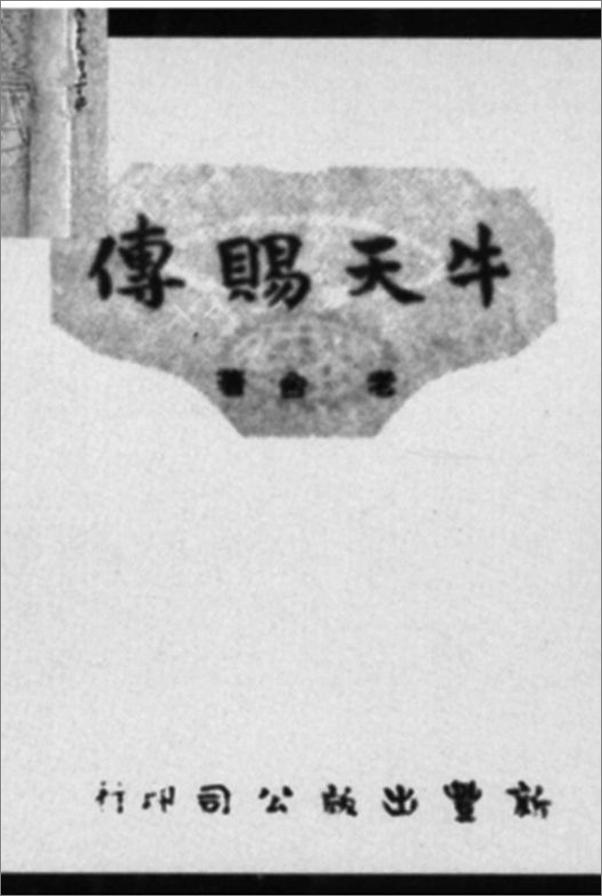书籍《写实主义小说的虚构》 - 插图2