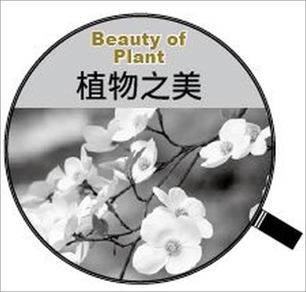 书籍《图说天下·透过镜头系列·植物之美》 - 插图2