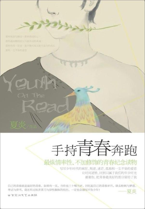 书籍《手持青春奔跑》 - 插图1