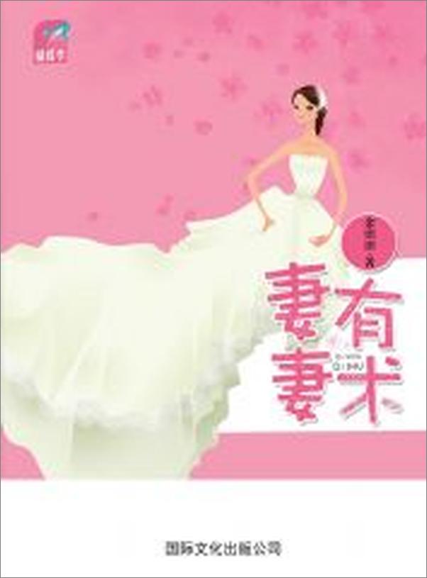 书籍《妻有妻术》 - 插图2