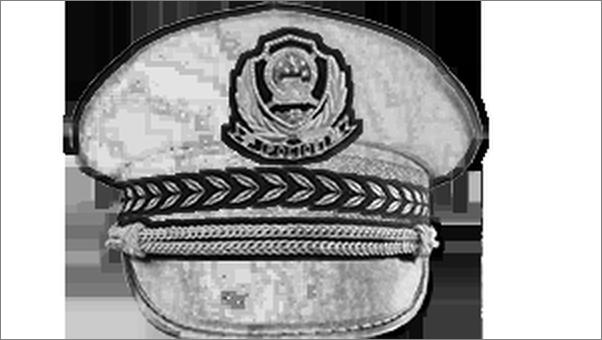 书籍《超级警监》 - 插图2