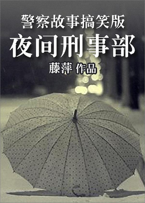 书籍《藤萍-夜间刑事部》 - 插图1