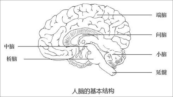 书籍《专家细说中风》 - 插图1