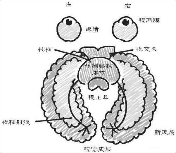 书籍《餐巾纸的背面》 - 插图2