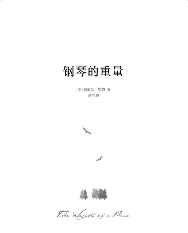 书籍《钢琴的重量》 - 插图1
