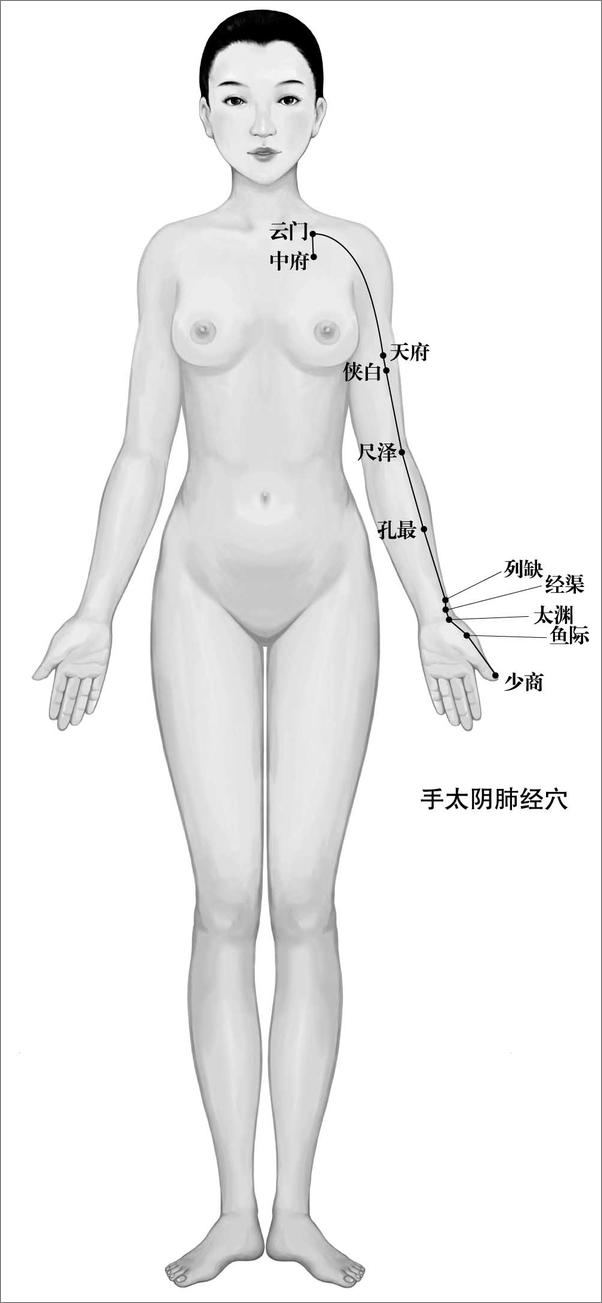 书籍《内因决定外貌_从丑小鸭到白天鹅的美容秘方》 - 插图2