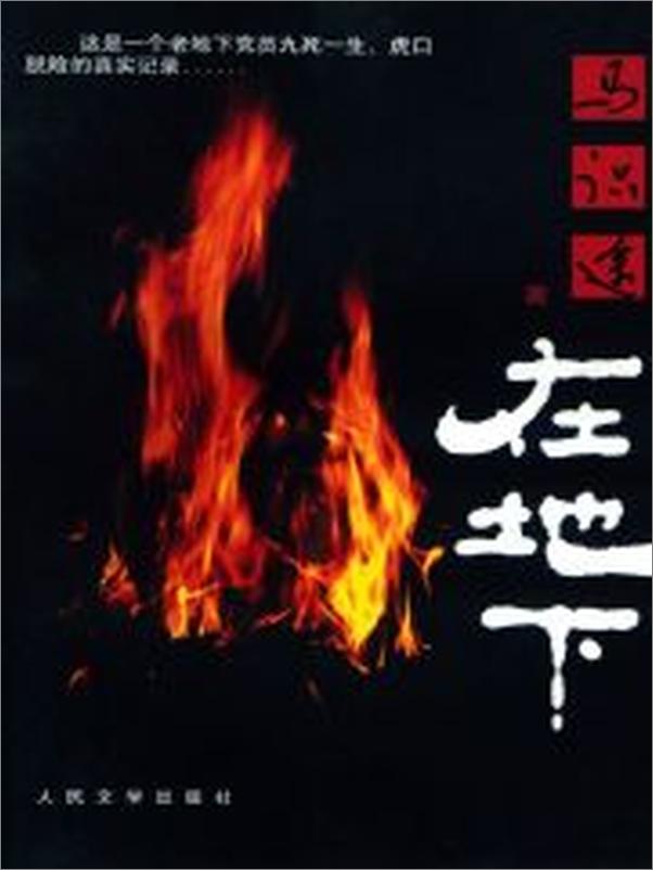 书籍《在地下》 - 插图2