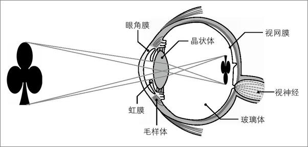 书籍《物理真好玩》 - 插图1