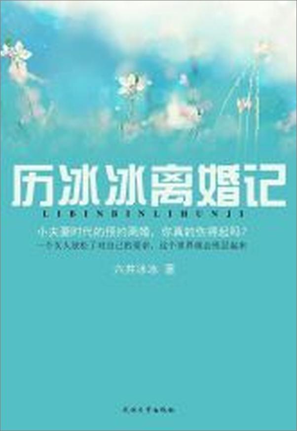 书籍《厉冰冰离婚记》 - 插图1