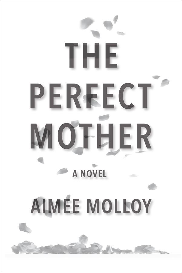 书籍《ThePerfectMother》 - 插图2