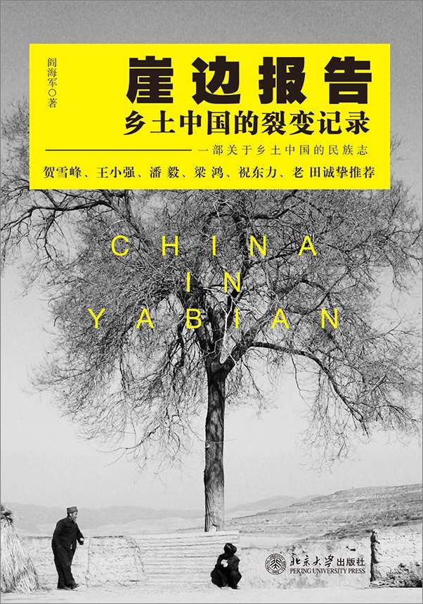 书籍《崖边报告_乡土中国的裂变记录》 - 插图1