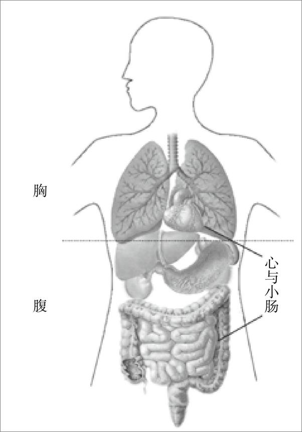 书籍《揉肚子的学问：事半功倍的腹部按摩法》 - 插图1