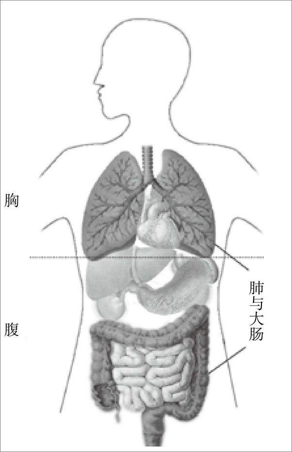 书籍《揉肚子的学问：事半功倍的腹部按摩法》 - 插图2