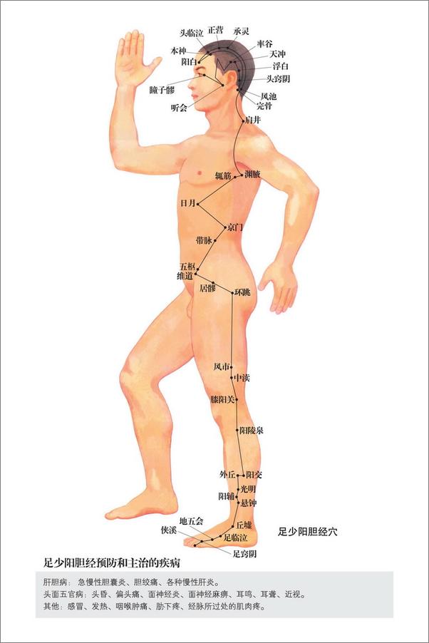 书籍《史上最全的穴位详细讲解》 - 插图2