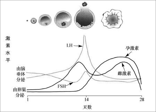 书籍《好孕方程式——教您如何面对生育问题》 - 插图2