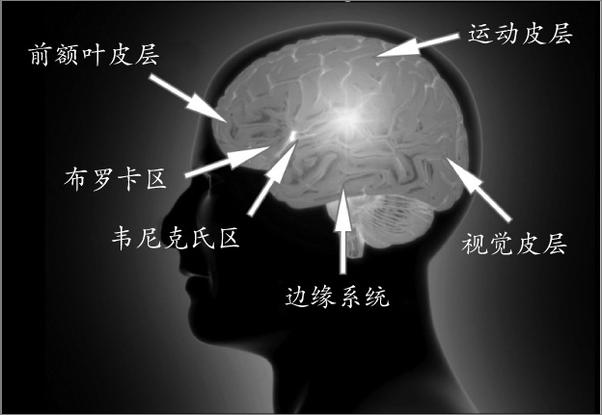 书籍《全脑教学与成长型思维教学》 - 插图1