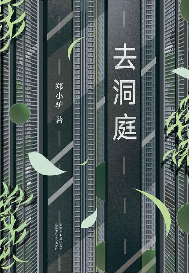 书籍《去洞庭》 - 插图1