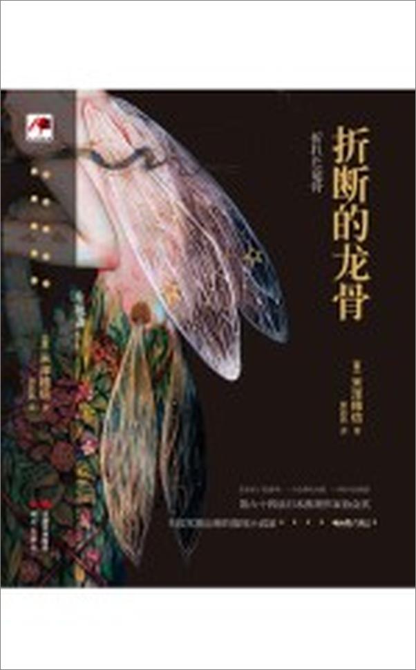 书籍《折断的龙骨》 - 插图2