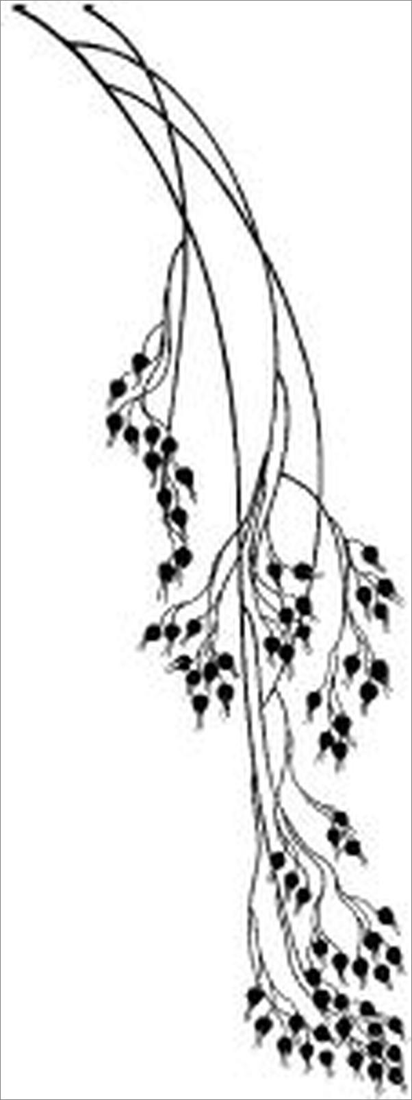 书籍《遥远的村庄_刘亮程散文精读》 - 插图1