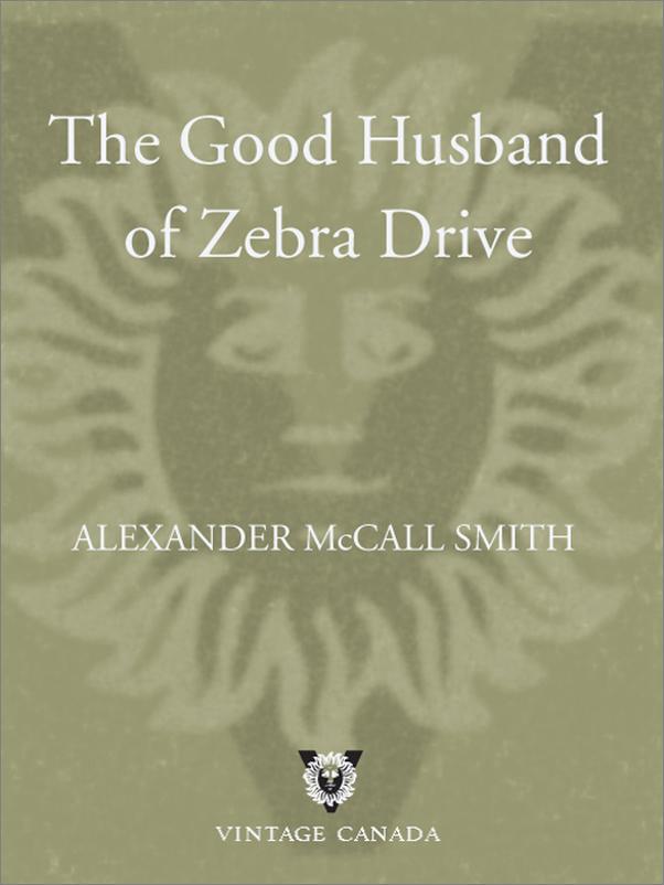 书籍《TheGoodHusbandofZebraDrive》 - 插图1