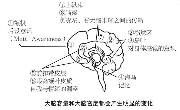 书籍《高效休息法：世界精英这样放松大脑》 - 插图1