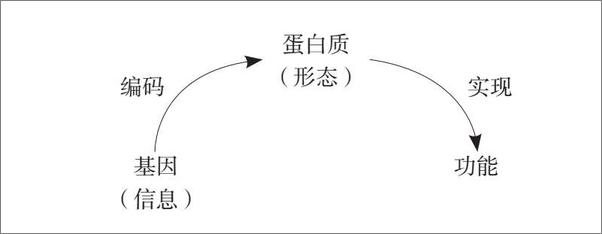 书籍《基因传》 - 插图2