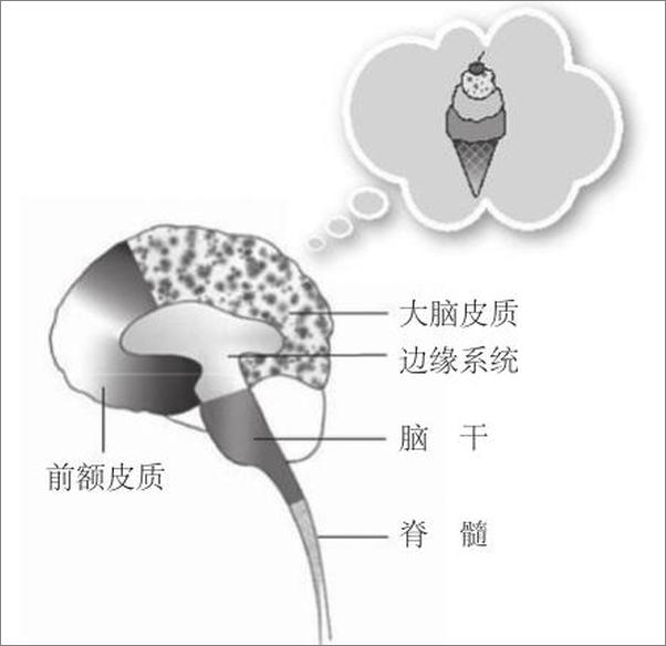 书籍《你内心的无能为力，来自对世界的恐惧》 - 插图2